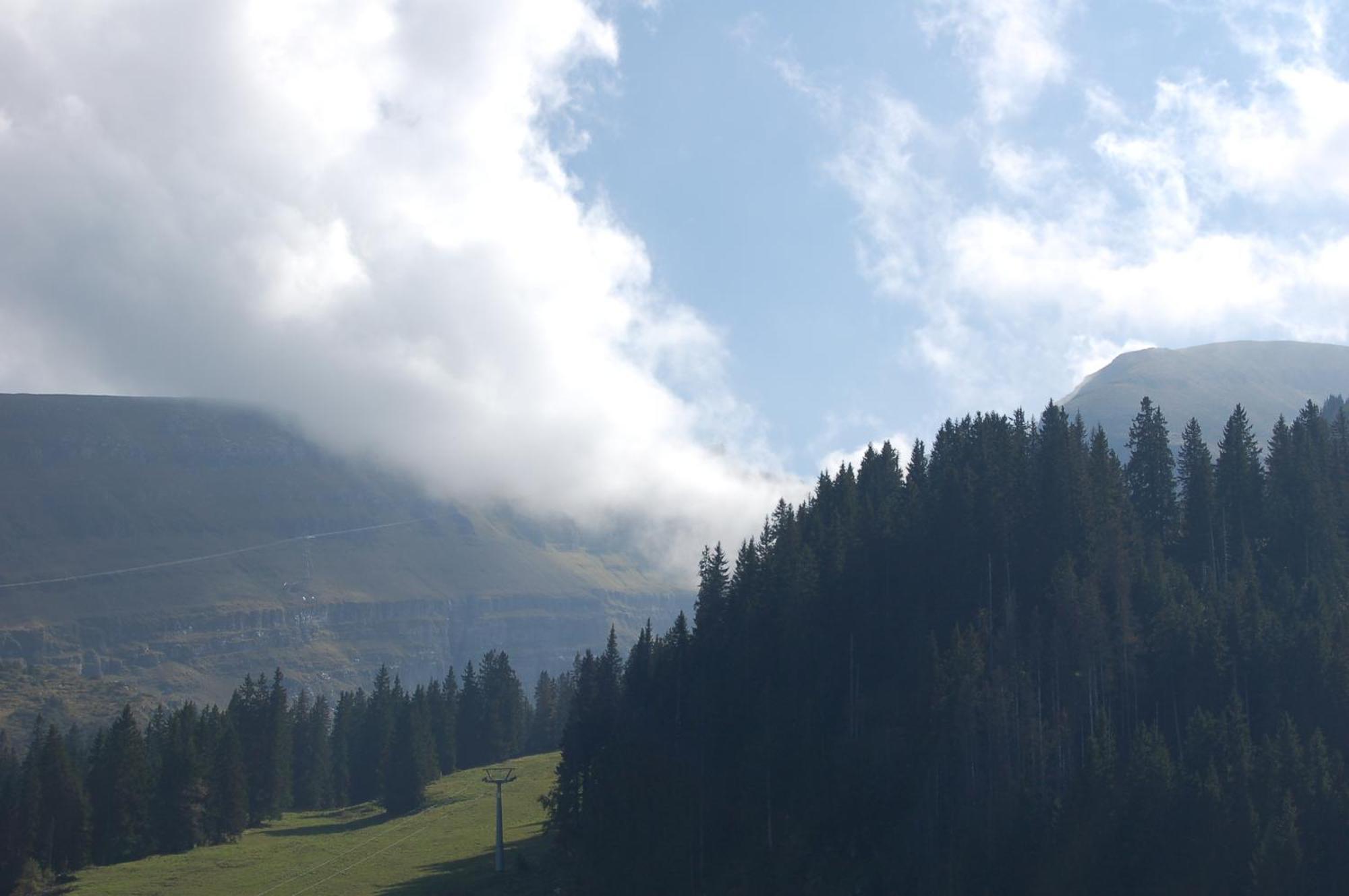 Gasthaus Schaefli Alt St. Johann Dış mekan fotoğraf